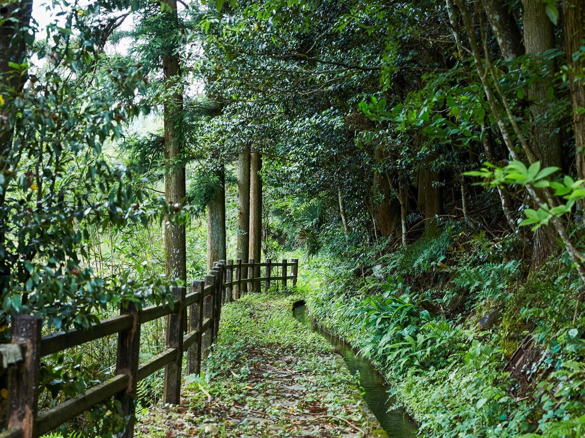 Lodge 宝泉坊ロッジ Kihoku (Ehime)